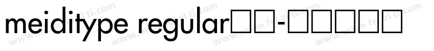 meiditype regular常规字体转换